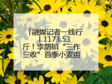 融媒记者一线行丨1173.53斤！李鹊镇“三作三收”首季小麦亩产创新高