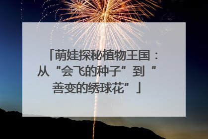 萌娃探秘植物王国：从“会飞的种子”到“善变的绣球花”