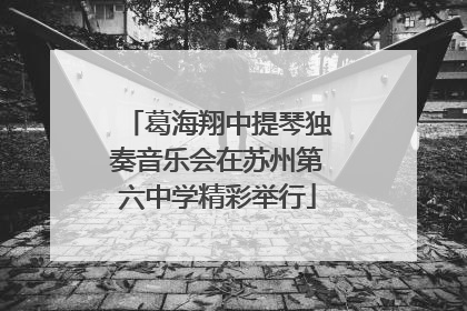葛海翔中提琴独奏音乐会在苏州第六中学精彩举行