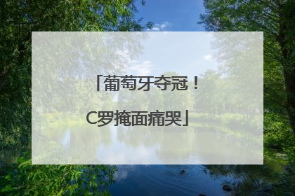 葡萄牙夺冠！C罗掩面痛哭