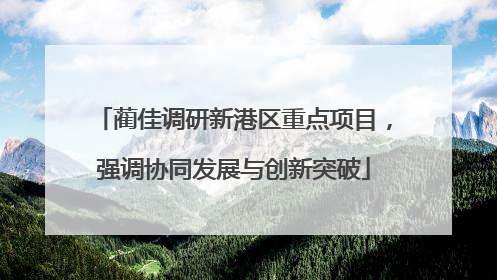 蔺佳调研新港区重点项目，强调协同发展与创新突破