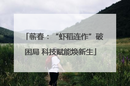 蕲春：“虾稻连作”破困局 科技赋能焕新生