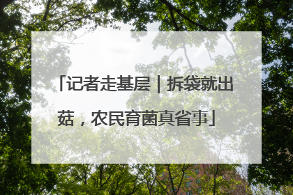记者走基层｜拆袋就出菇，农民育菌真省事
