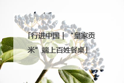 行进中国｜“皇家贡米”端上百姓餐桌
