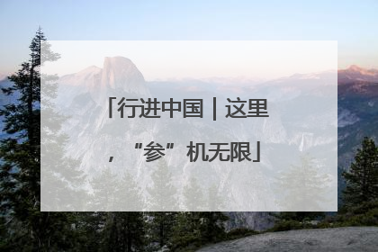 行进中国｜这里，“参”机无限