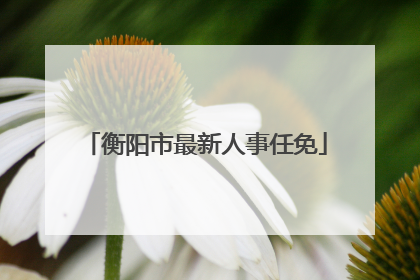 衡阳市最新人事任免
