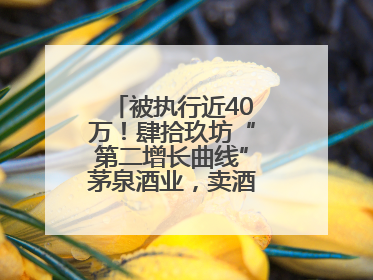 被执行近40万！肆拾玖坊“第二增长曲线”茅泉酒业，卖酒还是卖模式？