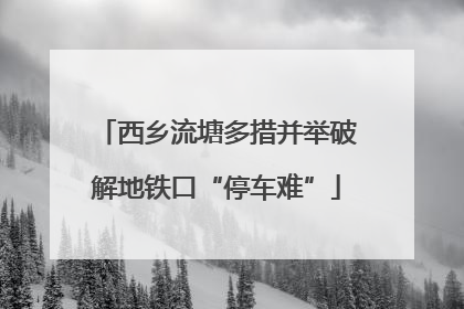 西乡流塘多措并举破解地铁口“停车难”