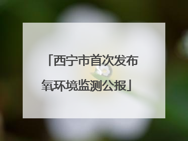 西宁市首次发布氧环境监测公报