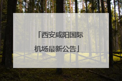 西安咸阳国际机场最新公告