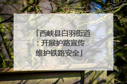 西峡县白羽街道：开展护路宣传 维护铁路安全