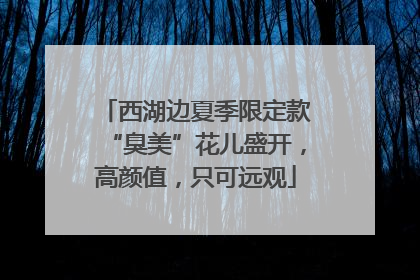 西湖边夏季限定款“臭美”花儿盛开，高颜值，只可远观