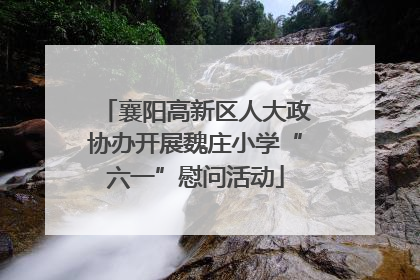 襄阳高新区人大政协办开展魏庄小学“六一”慰问活动