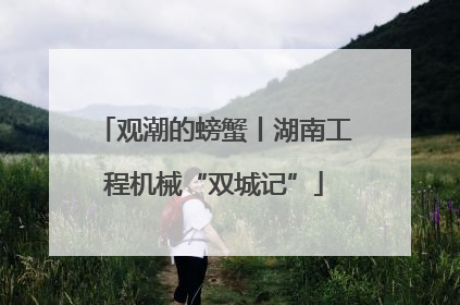 观潮的螃蟹丨湖南工程机械“双城记”
