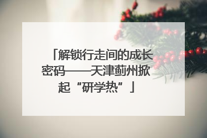 解锁行走间的成长密码——天津蓟州掀起“研学热”