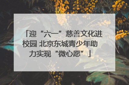 迎“六一”慈善文化进校园 北京东城青少年助力实现“微心愿”
