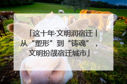 这十年·文明润宿迁丨从“塑形”到“铸魂”，文明扮靓宿迁城市
