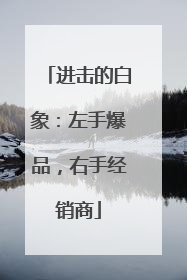 进击的白象：左手爆品，右手经销商
