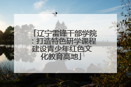 辽宁雷锋干部学院：打造特色研学课程 建设青少年红色文化教育高地