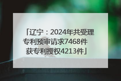 辽宁：2024年共受理专利预审请求7468件 获专利授权4213件
