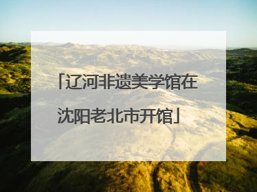 辽河非遗美学馆在沈阳老北市开馆