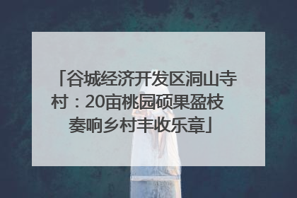 谷城经济开发区洞山寺村：20亩桃园硕果盈枝 奏响乡村丰收乐章