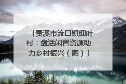 贵溪市流口镇细叶村：盘活闲置资源助力乡村振兴（图）