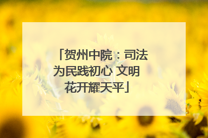 贺州中院：司法为民践初心 文明花开耀天平