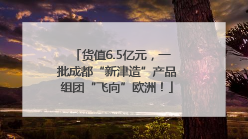 货值6.5亿元，一批成都“新津造”产品组团“飞向”欧洲！