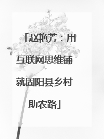 赵艳芳：用互联网思维铺就固阳县乡村助农路