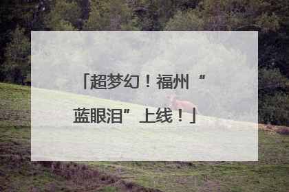 超梦幻！福州“蓝眼泪”上线！