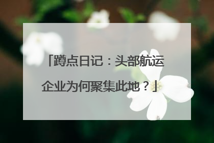 蹲点日记：头部航运企业为何聚集此地？