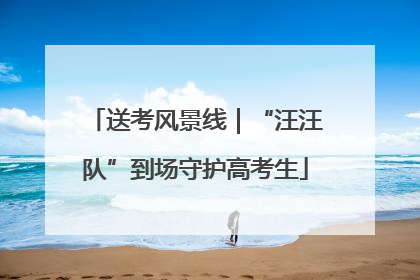 送考风景线｜“汪汪队”到场守护高考生