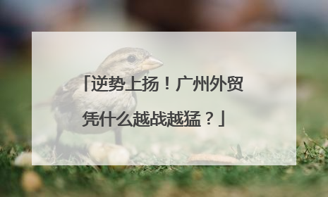 逆势上扬！广州外贸凭什么越战越猛？