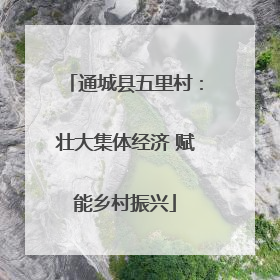 通城县五里村：壮大集体经济 赋能乡村振兴