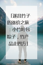 遂昌竹子的涨价之旅：小竹叶包粽子，竹产品走四方