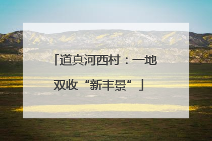 道真河西村：一地双收“新丰景”