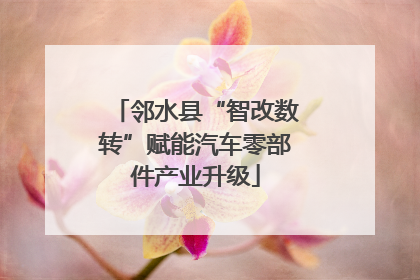 邻水县“智改数转”赋能汽车零部件产业升级