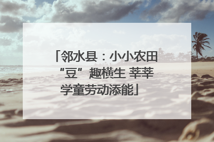 邻水县：小小农田“豆”趣横生 莘莘学童劳动添能