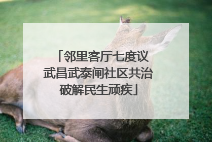 邻里客厅七度议 武昌武泰闸社区共治破解民生顽疾