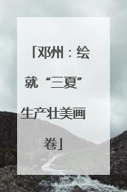 邓州：绘就“三夏”生产壮美画卷
