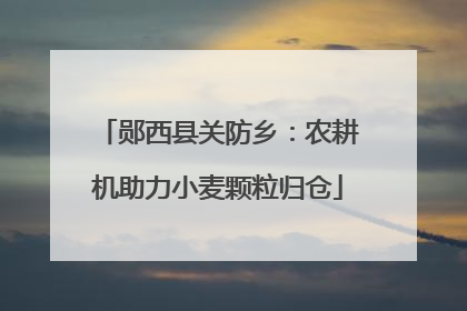 郧西县关防乡：农耕机助力小麦颗粒归仓