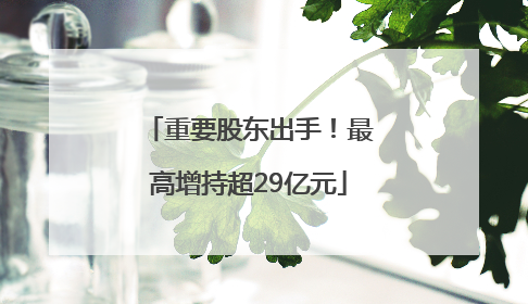 重要股东出手！最高增持超29亿元