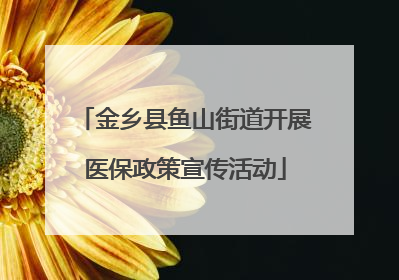 金乡县鱼山街道开展医保政策宣传活动