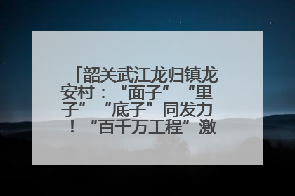 韶关武江龙归镇龙安村：“面子”“里子”“底子”同发力！“百千万工程”激活乡村新动能