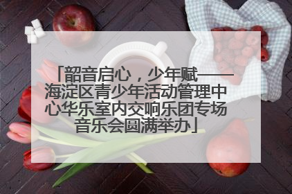 韶音启心，少年赋——海淀区青少年活动管理中心华乐室内交响乐团专场音乐会圆满举办
