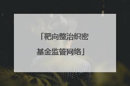 靶向整治织密基金监管网络