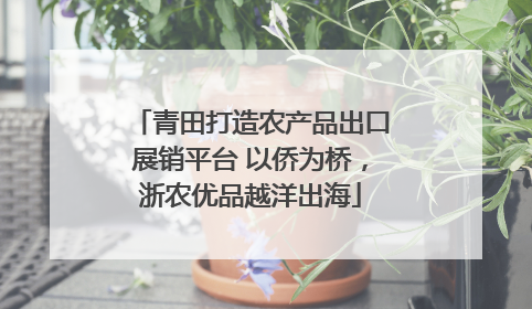 青田打造农产品出口展销平台 以侨为桥，浙农优品越洋出海