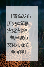 青岛发布历史建筑防灾减灾新标 筑牢城市文化根脉安全屏障