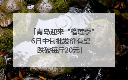 青岛迎来“榴莲季” 6月中旬批发价有望跌破每斤20元